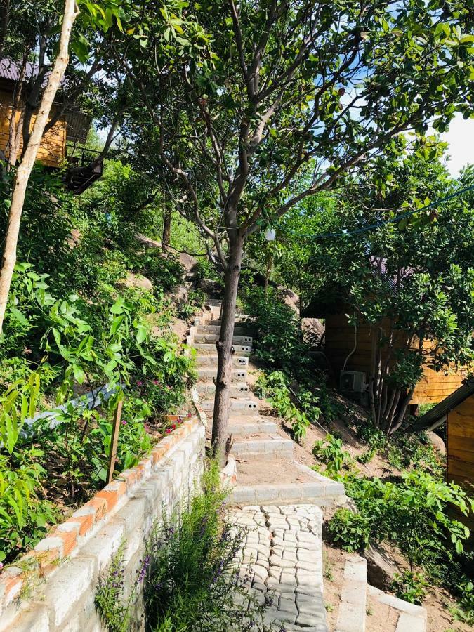 Thanh Nhi Homestay คัมรานห์ ภายนอก รูปภาพ